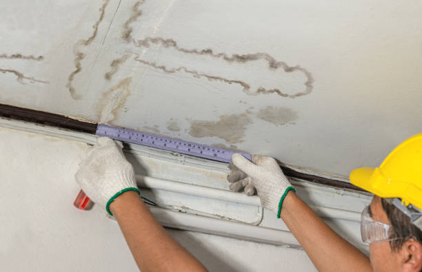 Reliable Mold Remediation contractor in Fredonia, WI by Water Damage Irwin